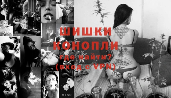 ПСИЛОЦИБИНОВЫЕ ГРИБЫ Богданович
