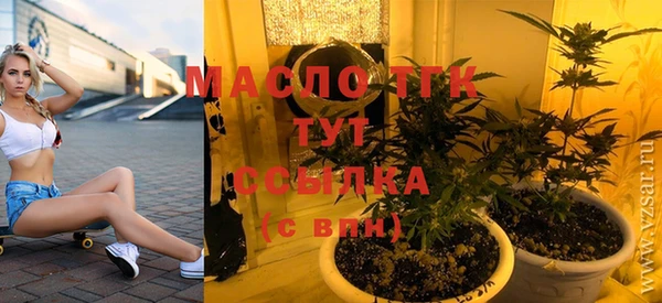 Альфа ПВП Бородино