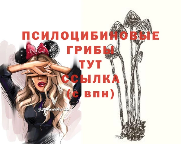 кокс Богородск