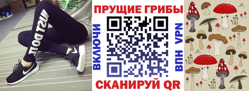 МЕГА как зайти  магазин продажи   Великий Новгород  Псилоцибиновые грибы GOLDEN TEACHER 